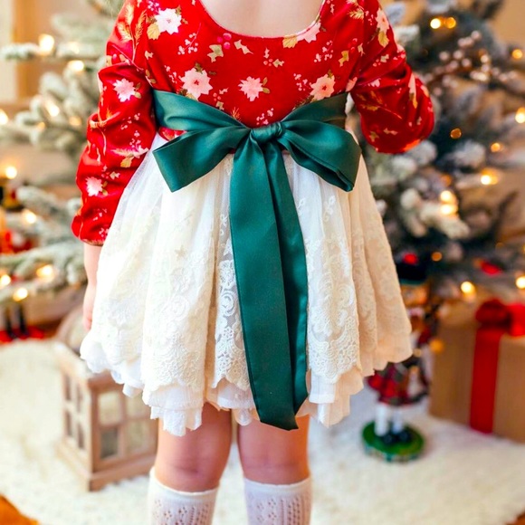 Love and grow clothing co pretty poinsettia emery 12 M Christmas dress